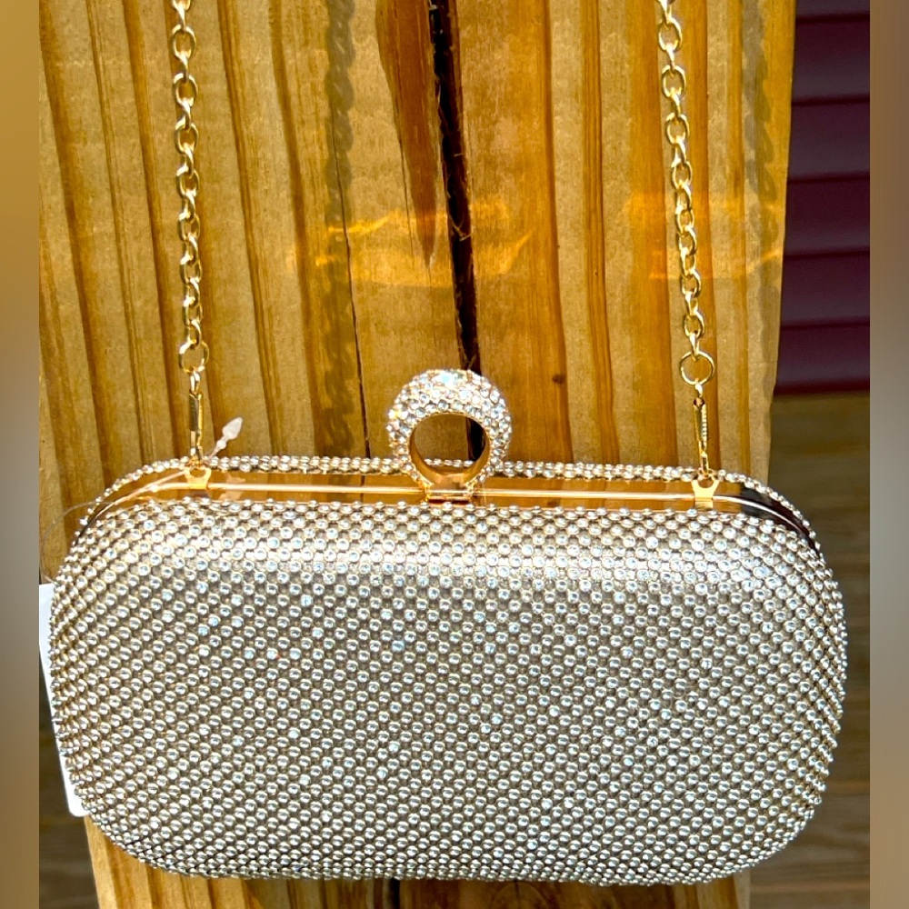 BNWT Windsor purse clutch rhinestone